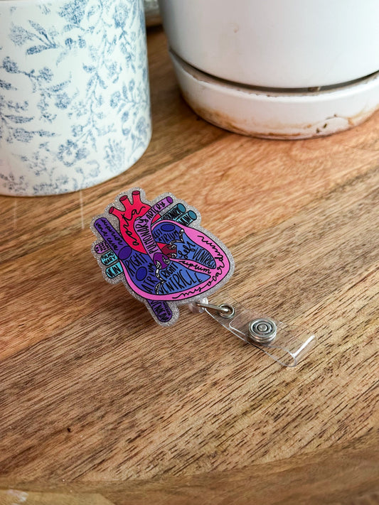 Anatomy of the Heart